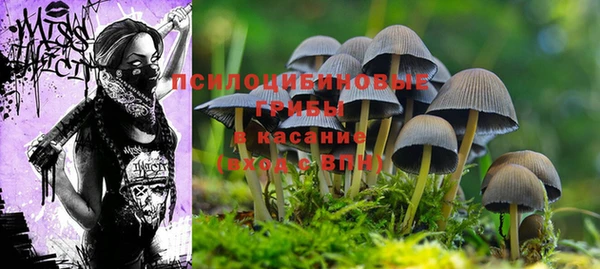 гидра Михайловск
