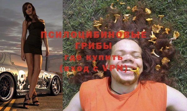 молекула духа Медногорск