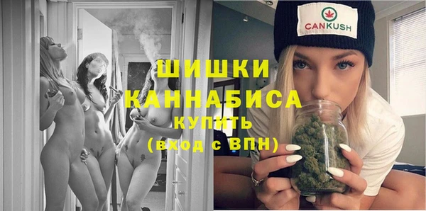 молекула духа Медногорск