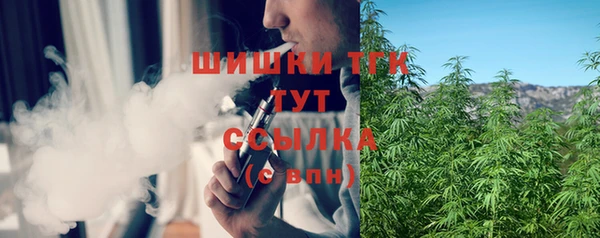 гидра Михайловск