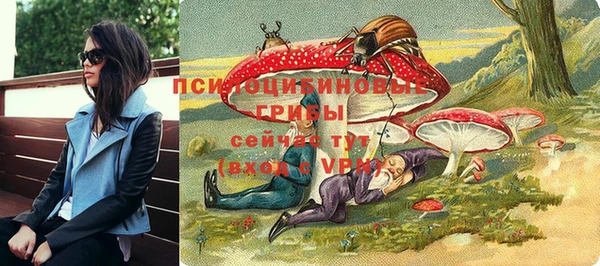 амф Медвежьегорск