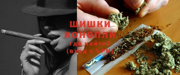 молекула духа Медногорск