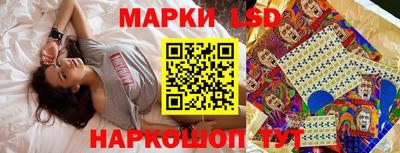 spice Камышлов