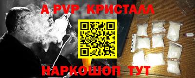 spice Камышлов