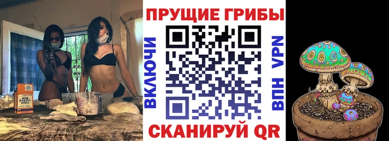 Галлюциногенные грибы Psilocybe  Кудымкар 